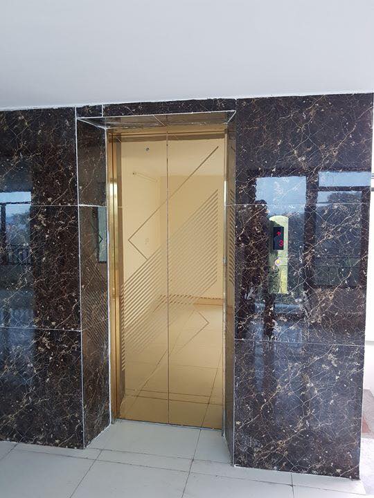 Thang Máy Gia Đình Những Điều Cần Biết 3 thang máy gia đình mẫu inox gương vàng hoa văn
